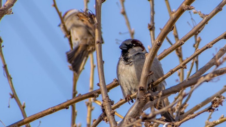 Потепление ожидается в Иркутской области к выходным